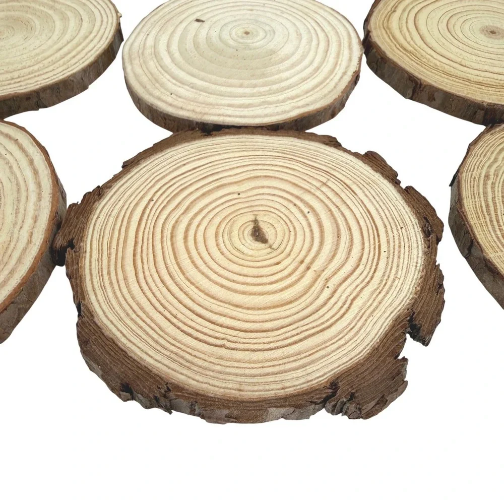 12pc Natural Pine Wood Slices 2.5-3.5 inch Unfinished Round Bark Tree Discs DIY